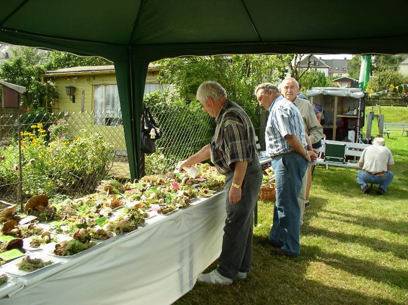 Pilzausstellung in der Gartenanlage in Stollberg