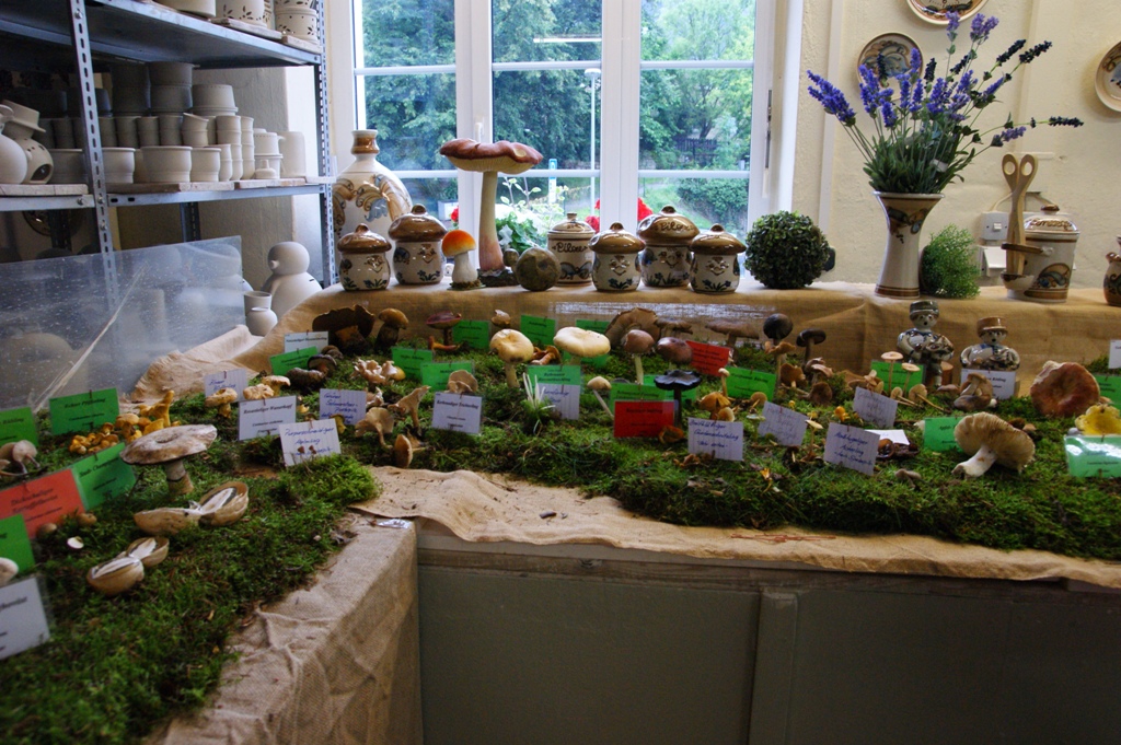 Pilzausstellung bei Heyde- Keramik in Jahnsdorf