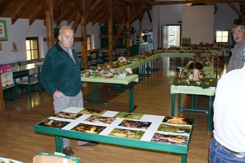 Pilzausstellung in der Tenne in Niederwrschnitz-Der Aufbau ist geschafft!
